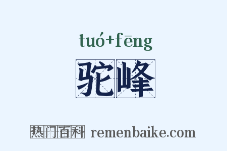 驼峰是什么意思的图片